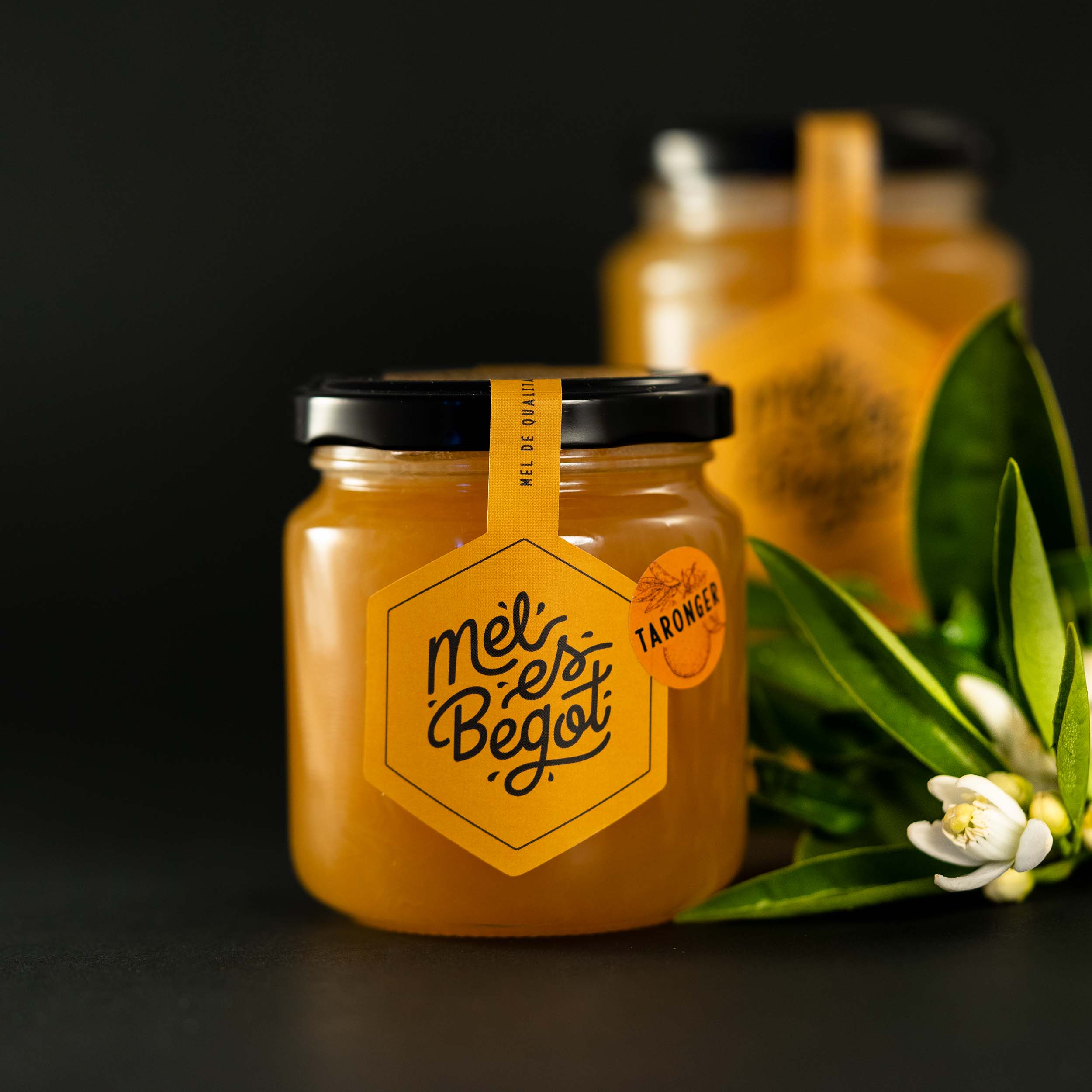 Orange Blossom Honey